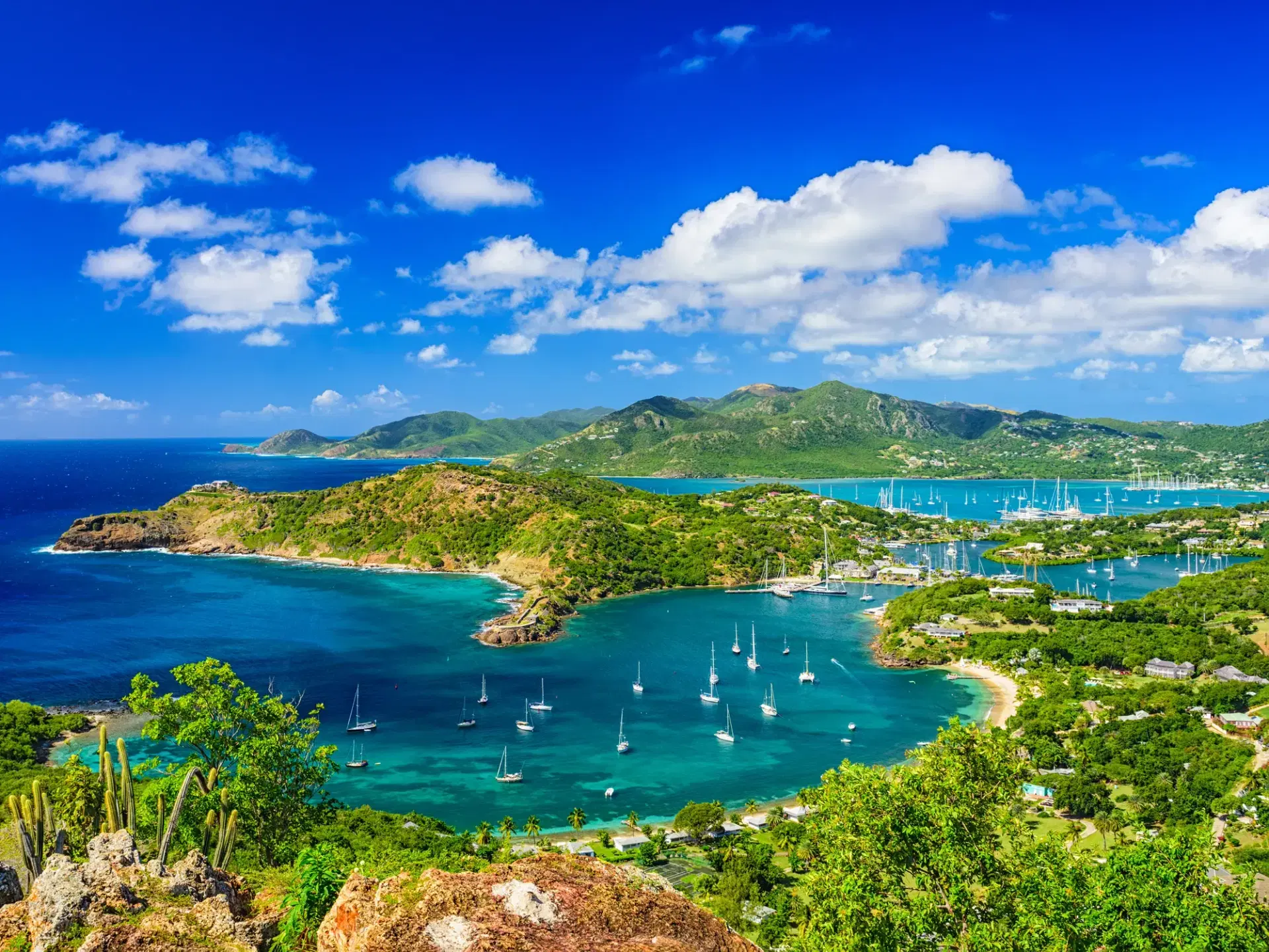 BVI License Renewal & Agent Appointment